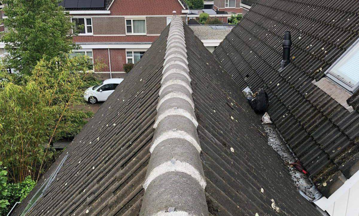 Nokvorsten Oss